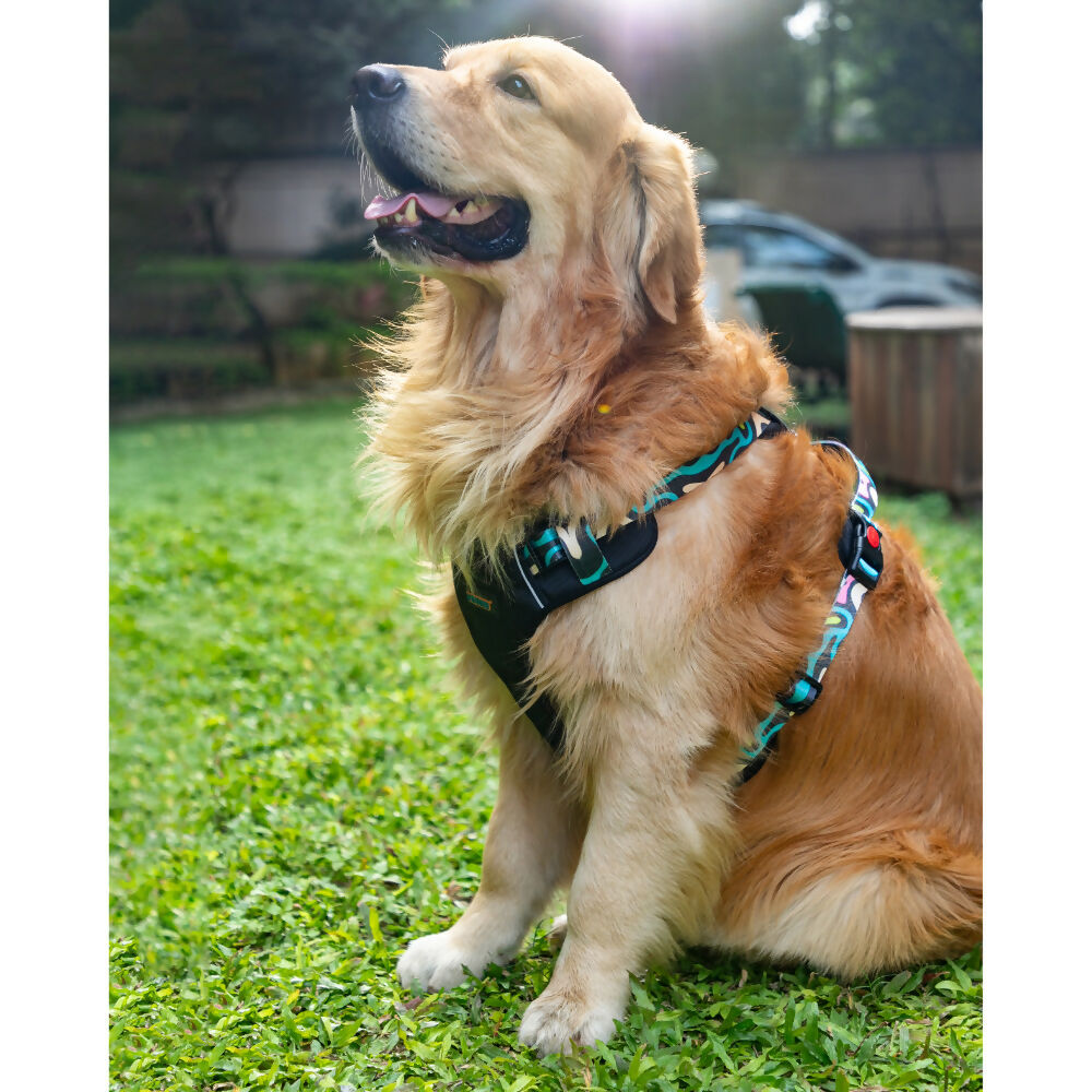 Waggety Adjustable Full Body Dog Harness - Comfortable Fit, Lightweight Polyester, Black | Grocsy