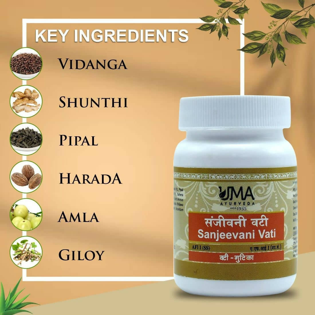 Uma Ayurveda Sanjeevani Vati | Grocsy