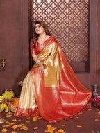 Anaita Banarasi Tissue Silk Saree | Grocsy
