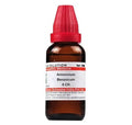 Dr. Willmar Schwabe India Ammonium Benzoicum Dilution | Grocsy
