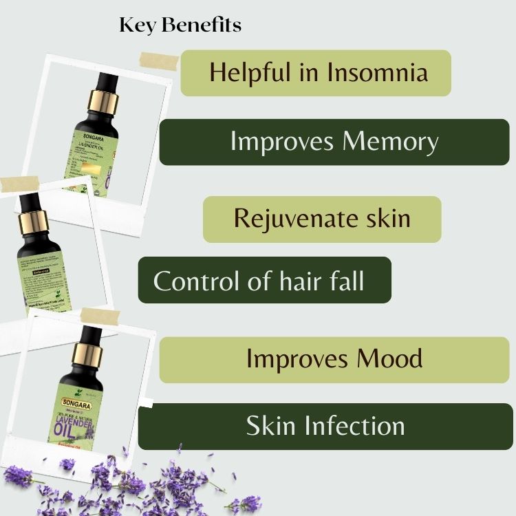 Songara Lavender Essential Oil | Grocsy
