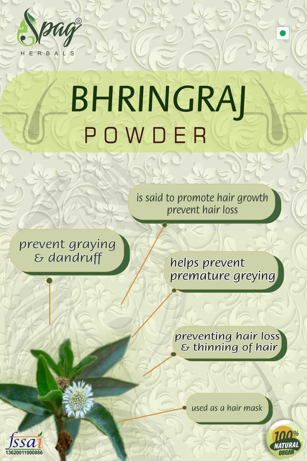 Spag Herbals Premium Bhringraj Powder | Grocsy