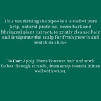Biotique Bio Kelp Protein Shampoo For Falling Hair | Grocsy