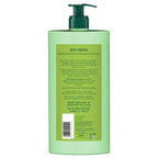 Biotique Bio/Fresh Neem Anti Dandruff Shampoo & Conditioner | Grocsy
