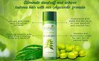 Biotique Bio/Fresh Neem Anti Dandruff Shampoo & Conditioner | Grocsy