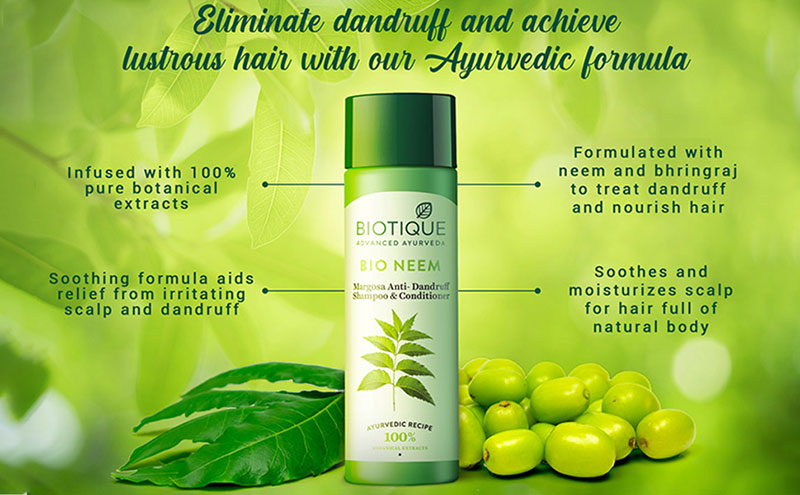 Biotique Bio/Fresh Neem Anti Dandruff Shampoo & Conditioner | Grocsy