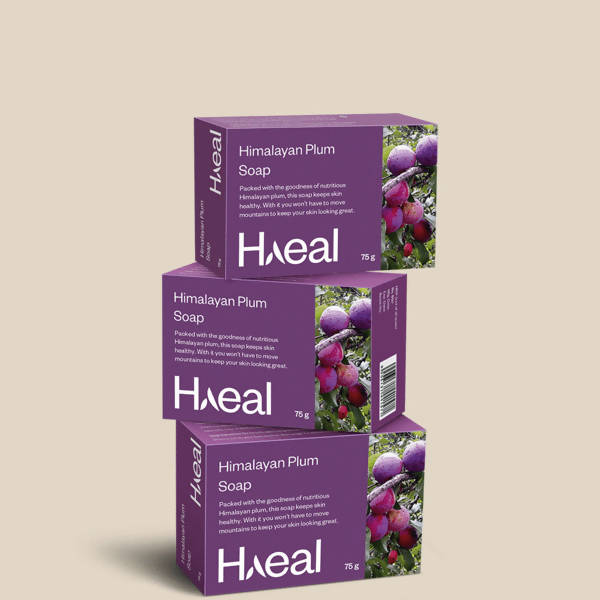 Haeal Himalayan Plum Soap | Grocsy