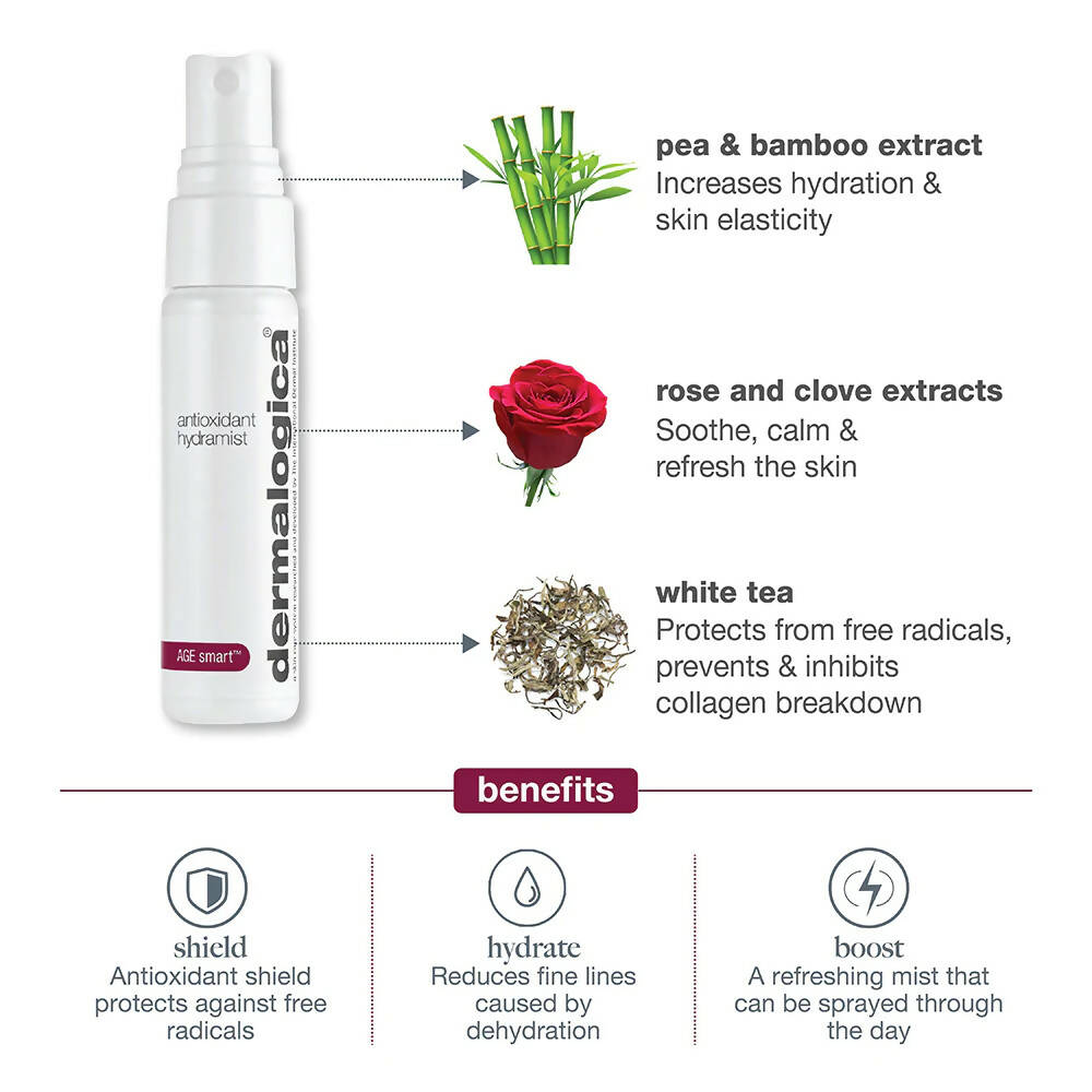 Dermalogica Antioxidant Hydramist Toner | Grocsy