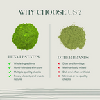 Luxmi Estates Vanilla Matcha with Probiotics | Grocsy