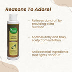 Mother Sparsh Ginger & Neem Anti-Dandruff Hair Oil | Grocsy