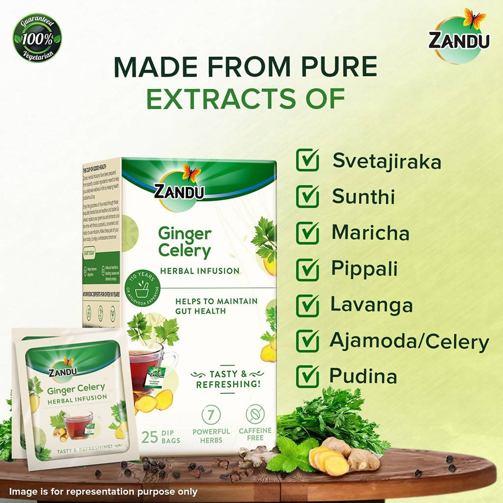 Zandu Ginger Celery Herbal Infusion Tea | Grocsy