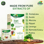 Zandu Ginger Celery Herbal Infusion Tea | Grocsy