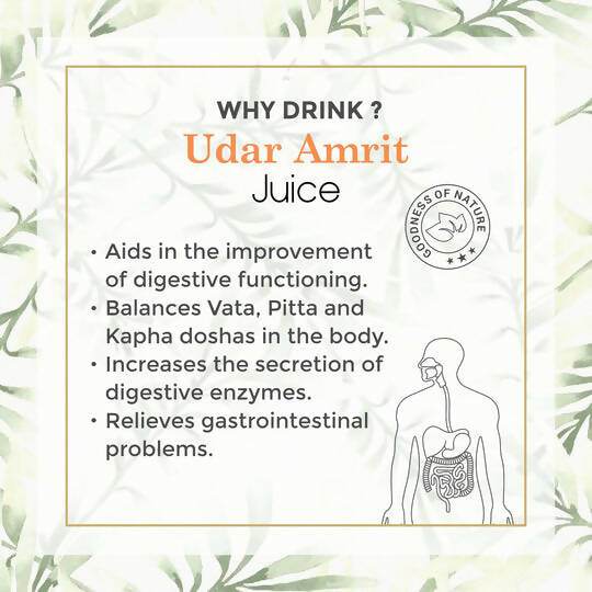 Four Seasons Udar Amrit Juice | Grocsy