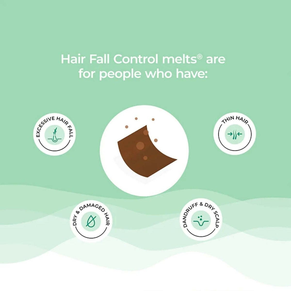Wellbeing Nutrition Melts Healthy Hair & Hair Fall Control Strips Combo | Grocsy