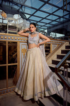 Lehenga Mart Designer Lehenga Choli - Cream | Grocsy