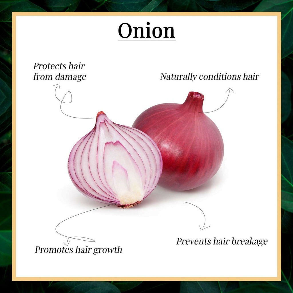 Dravida Organics Red Onion Black Seed Oil Hair Conditioner | Grocsy