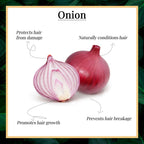 Dravida Organics Red Onion Black Seed Oil Hair Conditioner | Grocsy