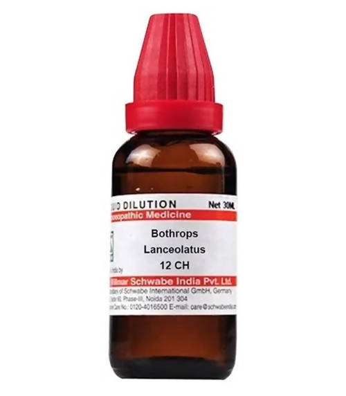 Dr. Willmar Schwabe India Bothrops Lanceolatus Dilution | Grocsy