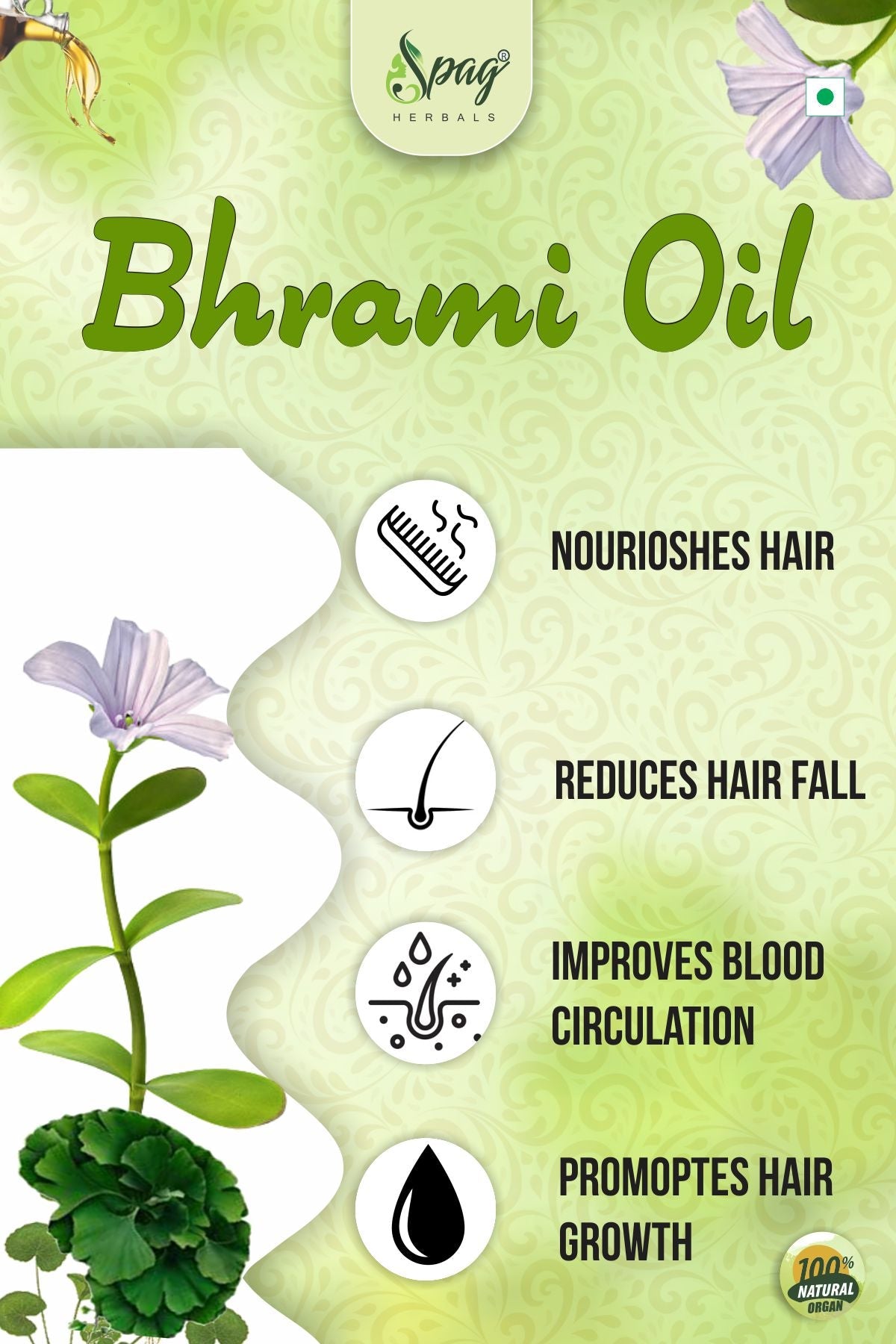 Spag Herbals Brahmi Oil For Hair Care | Grocsy