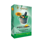Everest Ayurveda Avipathi Choornam | Grocsy