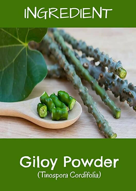 MR Ayurveda Giloy Powder | Grocsy