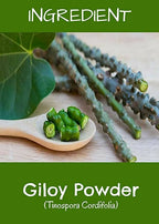 MR Ayurveda Giloy Powder | Grocsy