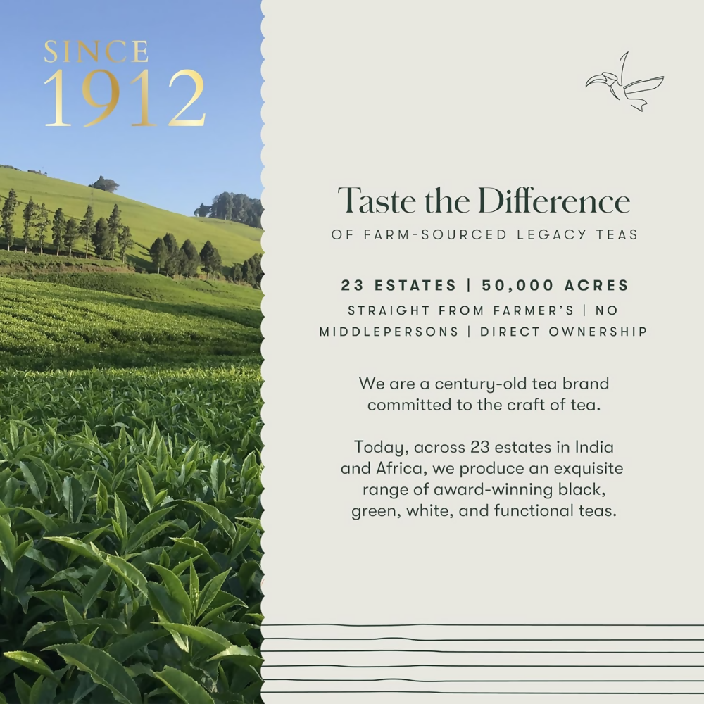 Luxmi Estates Tokyo Green Blend Green Tea | Grocsy