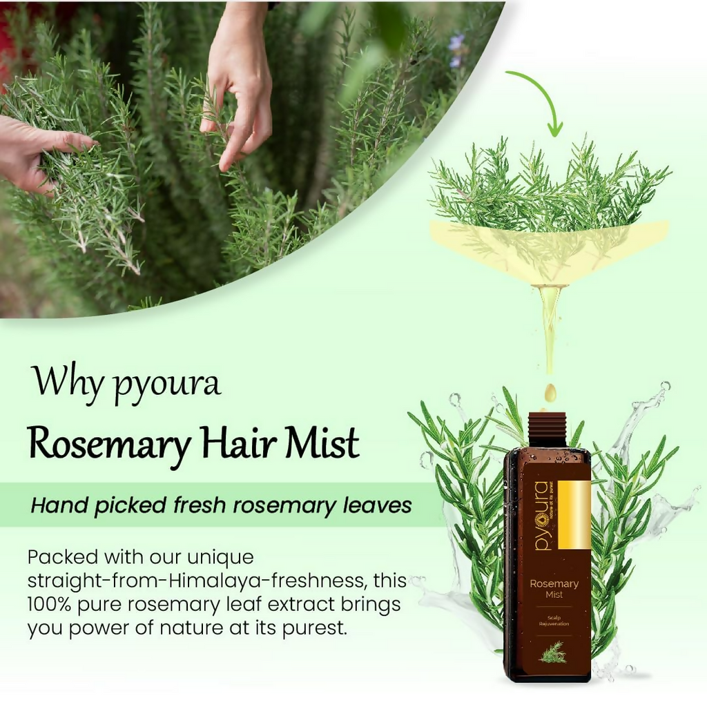 Pyoura Rosemary Water Spray For Hair Fall Control Natural Non-Greasy Heat Protection Serum Mist Toner | Grocsy