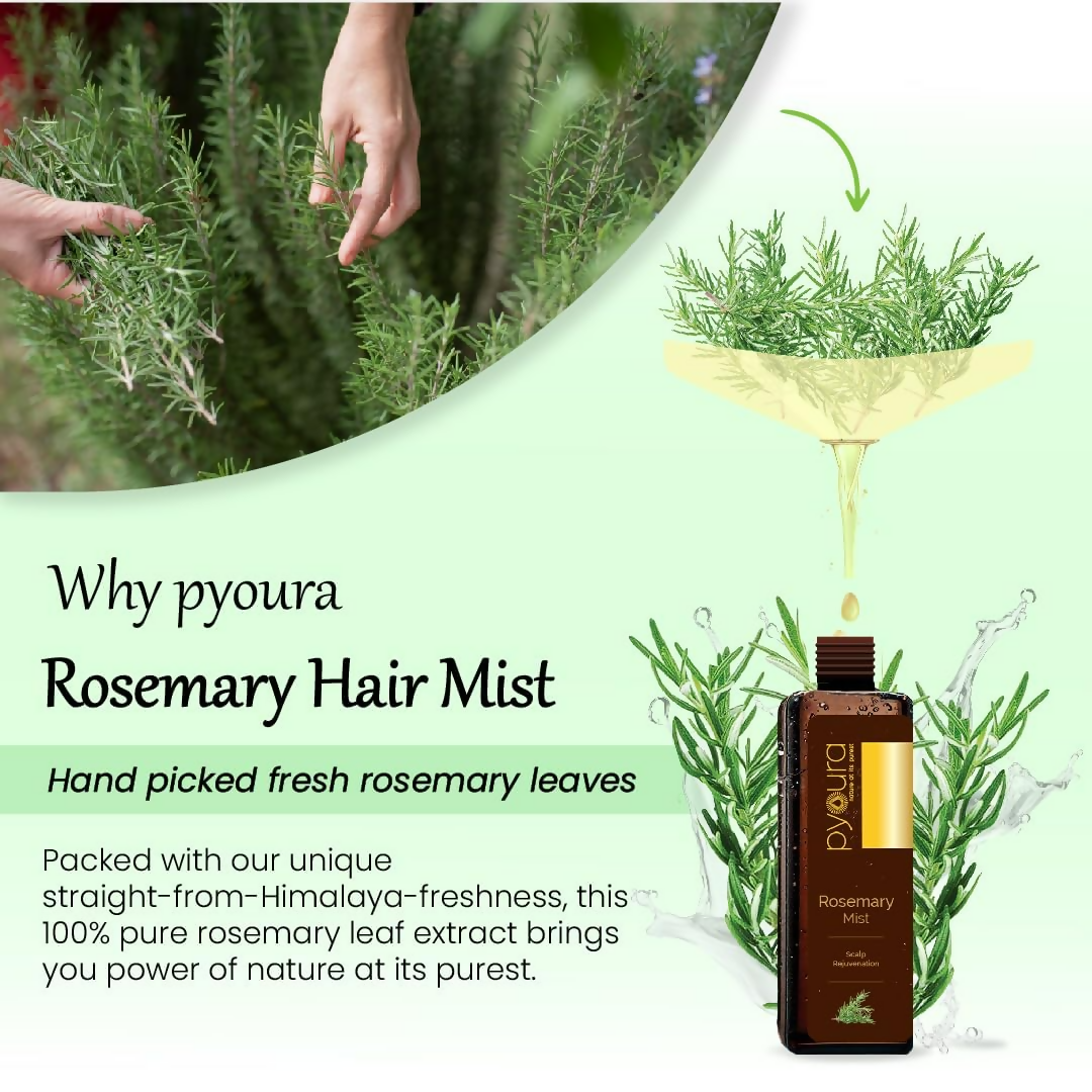 Pyoura Rosemary Water Spray For Hair Fall Control Natural Non-Greasy Heat Protection Serum Mist Toner | Grocsy