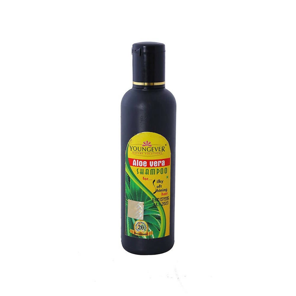 Youngever Aloe Vera Shampoo | Grocsy