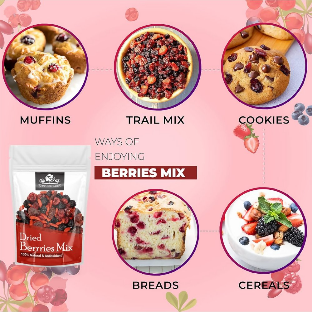 Nature Yard Berries mix without sugar - Mix of Dried Cranberry, Blueberry, Goji berry & Strawberry Dry fruits | Grocsy