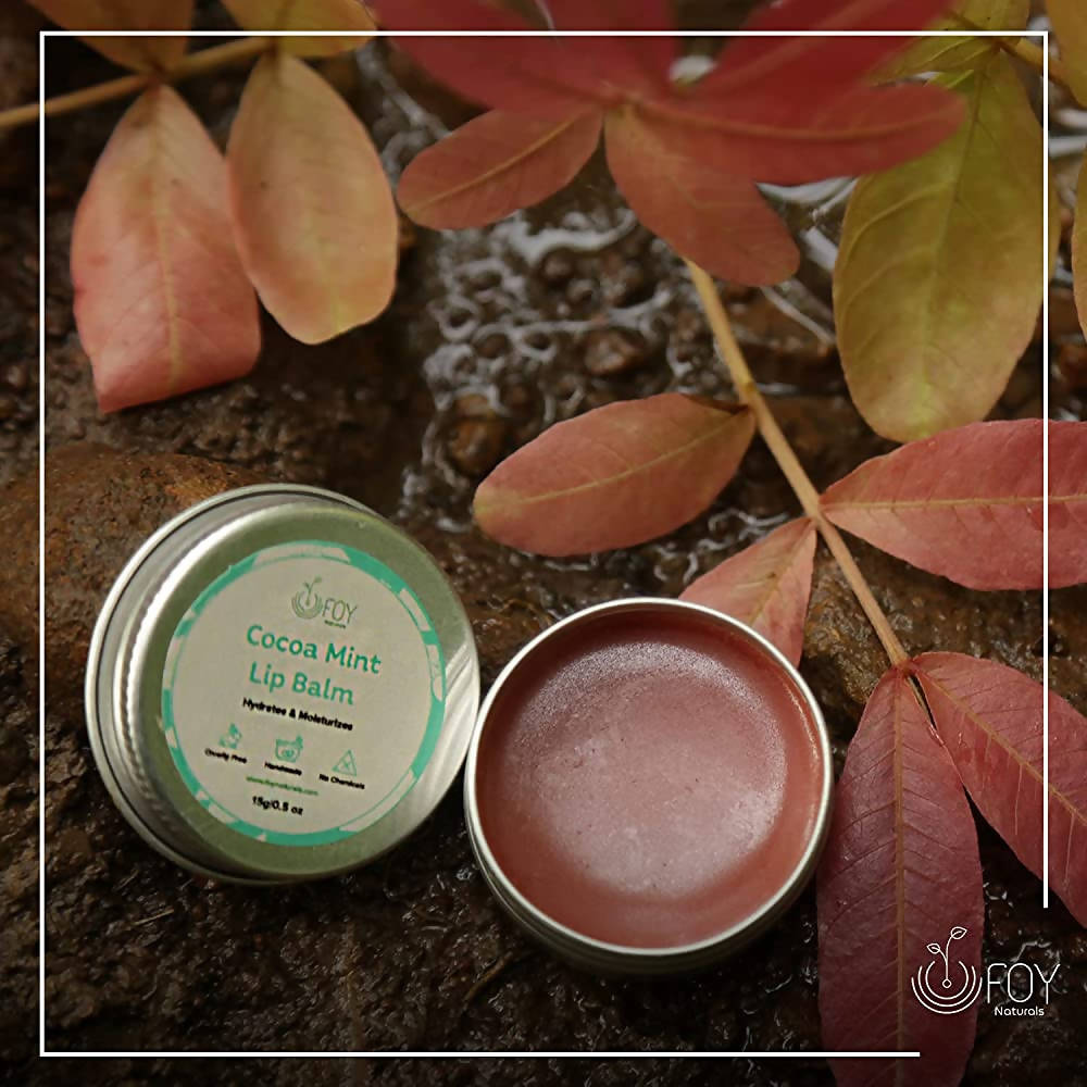 FOY Naturals Cocoa Mint Lip Balm | Grocsy