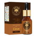 Old Tree Clove Bud Essential Oil | Grocsy