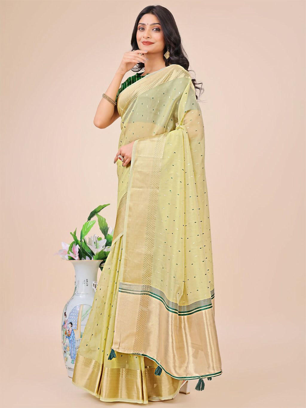 Shree Shyam Fashion Florance Light Green Organza Saree | Grocsy