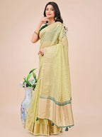 Shree Shyam Fashion Florance Light Green Organza Saree | Grocsy