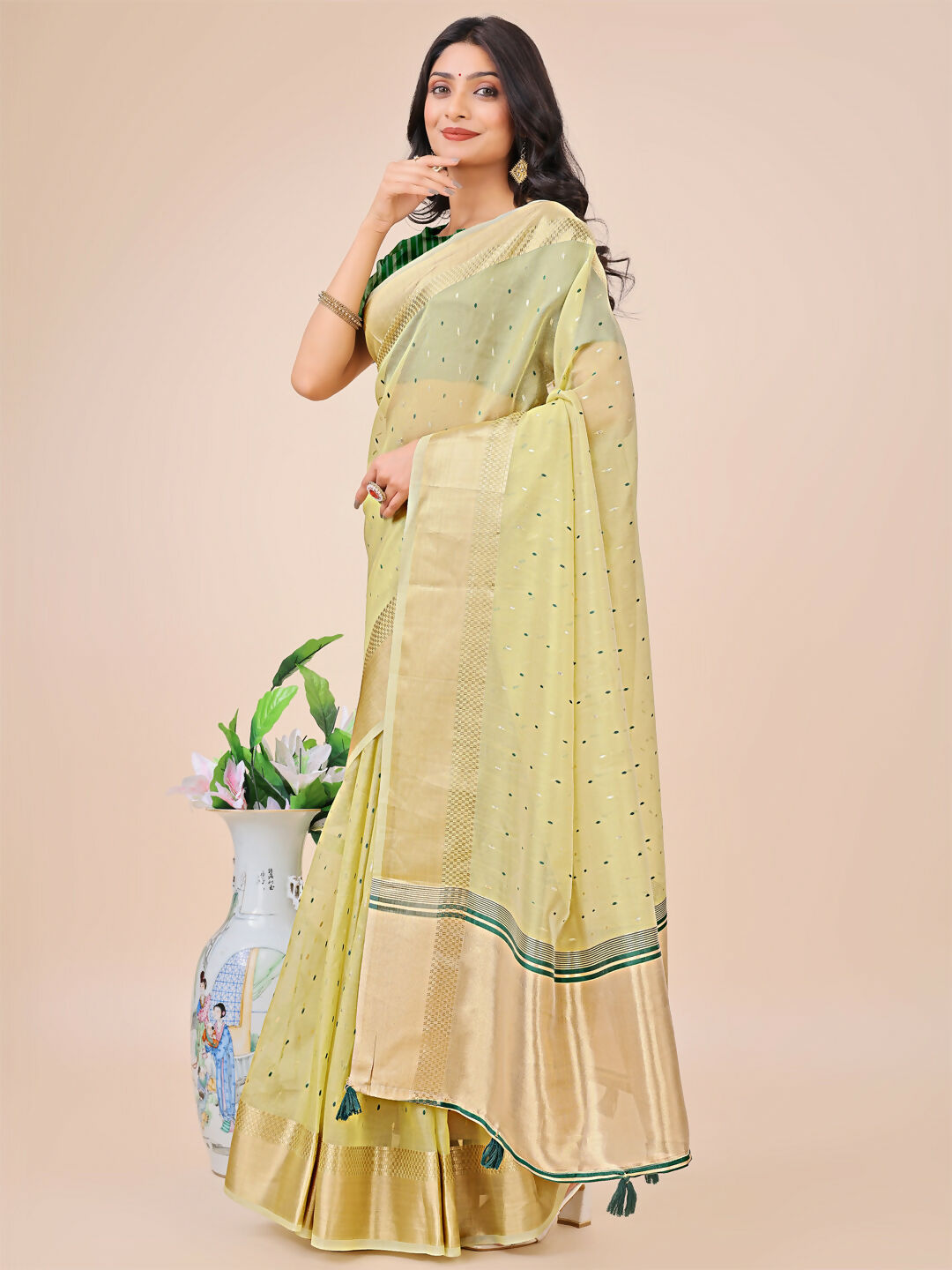 Shree Shyam Fashion Florance Light Green Organza Saree | Grocsy