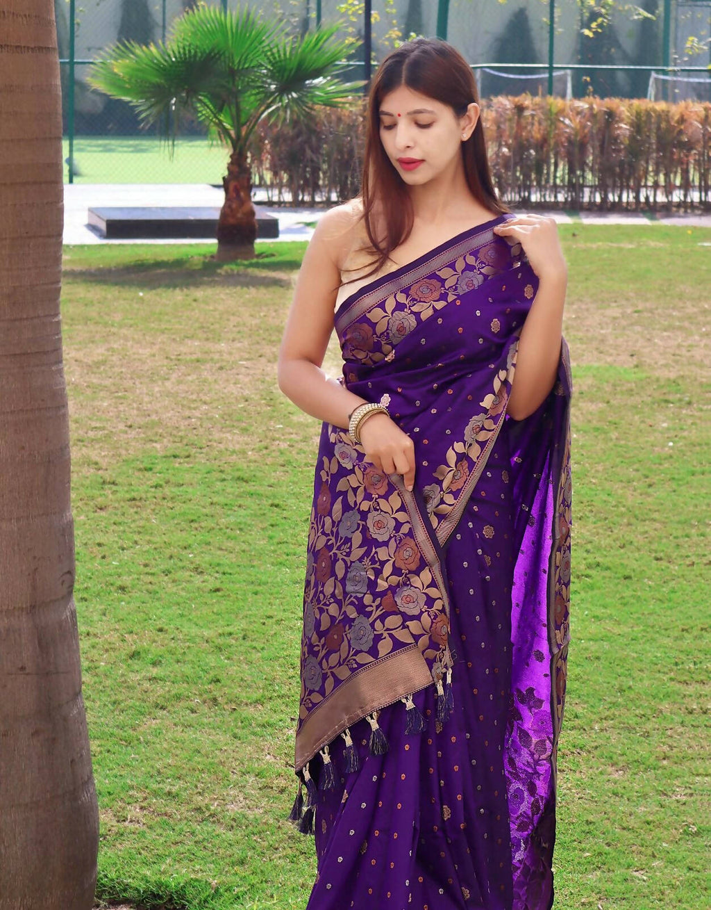 DEIANA'S Beautiful Designer Golden zari Soft Lichi Silk Saree - Purple | Grocsy