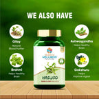 Search Wellness Hadjod Capsules | Grocsy
