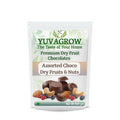 Yuvagrow Choco Dry Fruit & Nuts Assorted | Grocsy