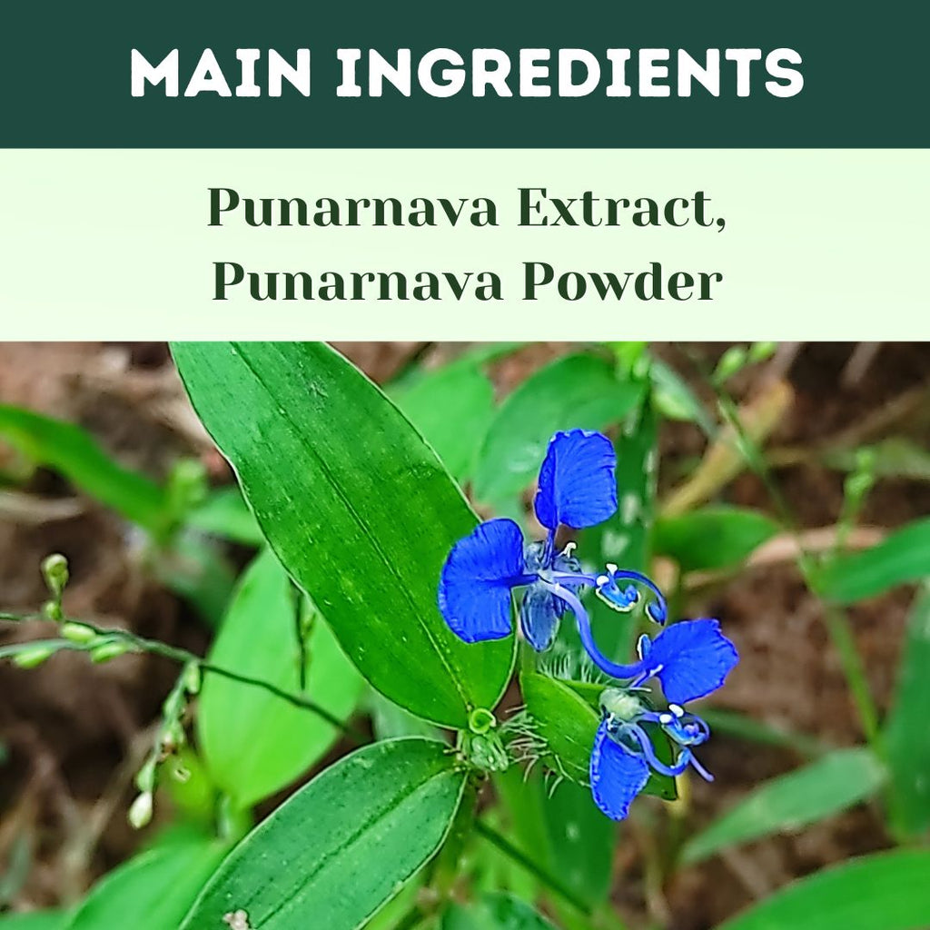 Herbal Hills Ayurveda Punarnavahills Capsules | Grocsy