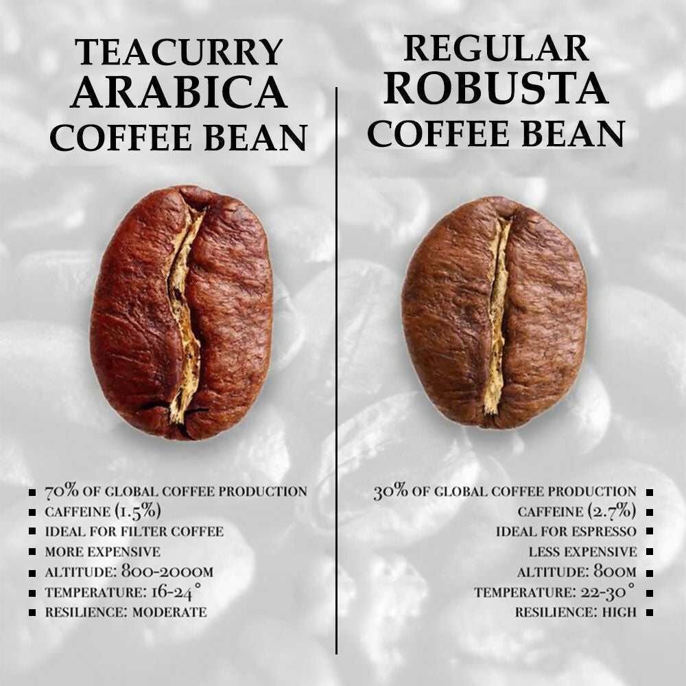 Teacurry Arabica Roasted Coffee Bean (Whole Bean, Medium Roasted) | Grocsy