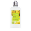 L'Occitane Barbotine Body Lotion | Grocsy
