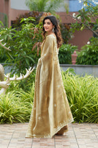 Vastranavya Beige Embroidery Work Shimmer Chiffon Saree with Unstitched Blouse | Grocsy