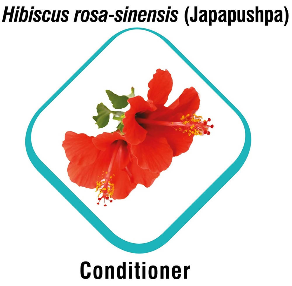 Himalaya Erina Plus Coat Cleanser with Conditioner | Grocsy