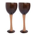 Thenga Coconut Shell & Wooden Wine Glasses | Grocsy