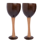 Thenga Coconut Shell & Wooden Wine Glasses | Grocsy