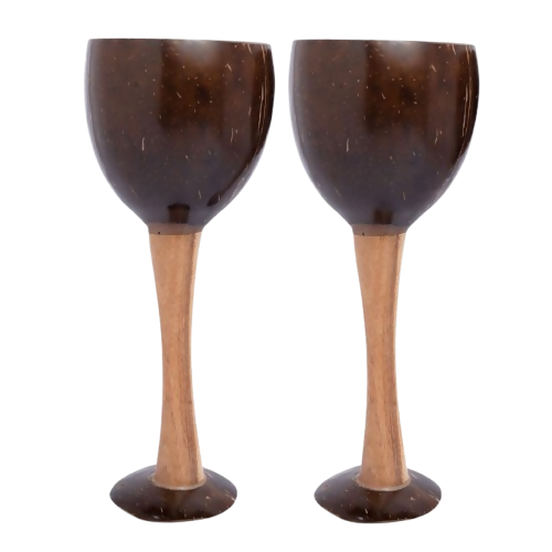 Thenga Coconut Shell & Wooden Wine Glasses | Grocsy