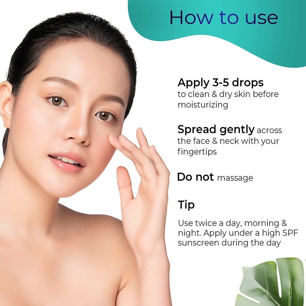 Pilgrim 2% Alpha Arbutin & 3% Vitamin C Brightening Face Serum For Glowing Skin - Korean Skin Care | Grocsy