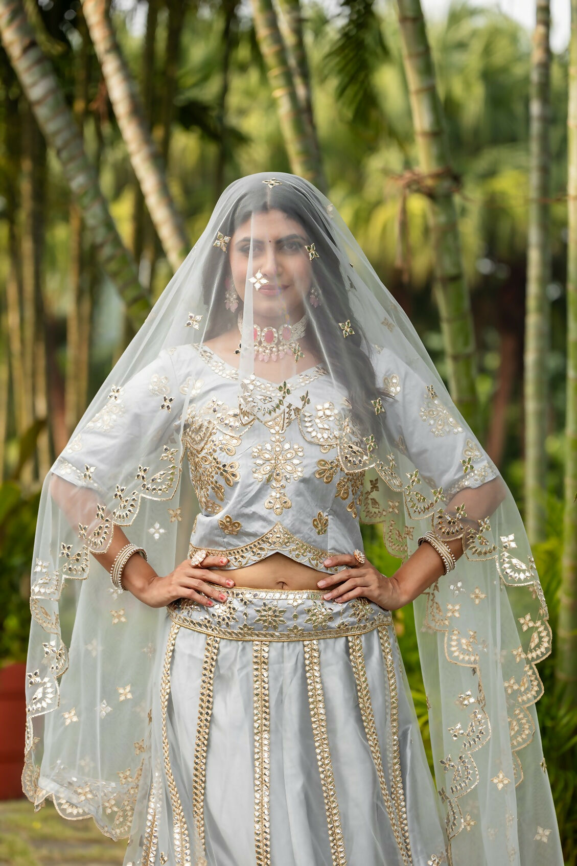 Eilara Glamorous Women'S Grey Zari With Paper Mirror Embroidered Net Fabric Lehenga Choli | Grocsy