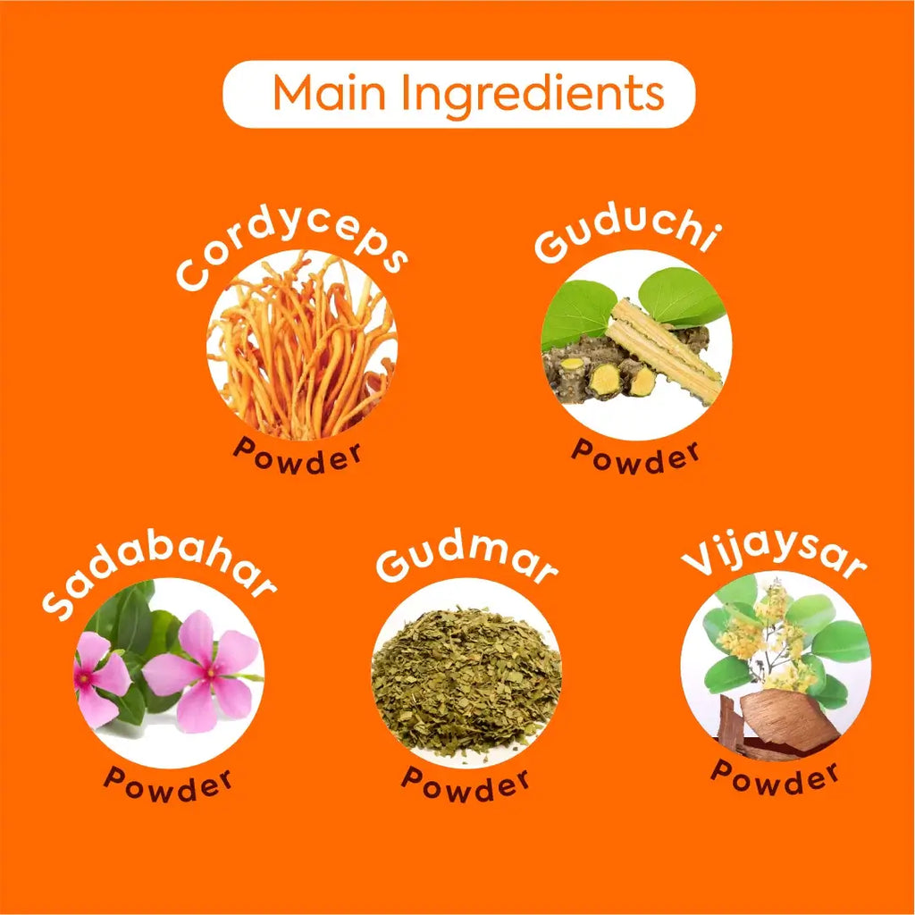 Herbal Hills Ayurveda Diabohills-T Tablets | Grocsy